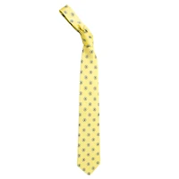 Boston Bruins Echo Woven Silk Tie