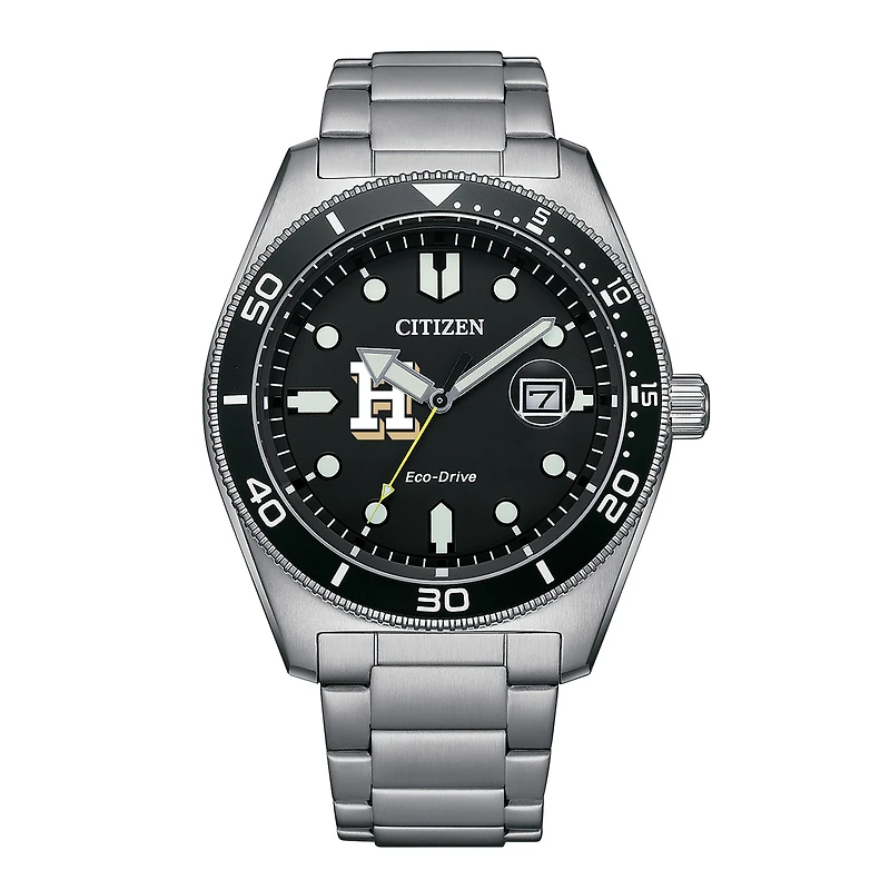 Men's Citizen Watch Silver Hamilton Continentals Eco-Drive Sport Casual Stainless Black Dial Steel Watch