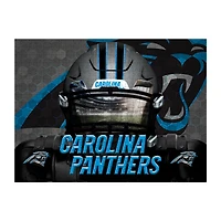 Carolina Panthers 18" x 24" 3D Facemask Puzzle