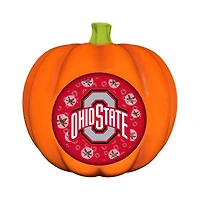 Ohio State Buckeyes 3D Resin Pumpkin