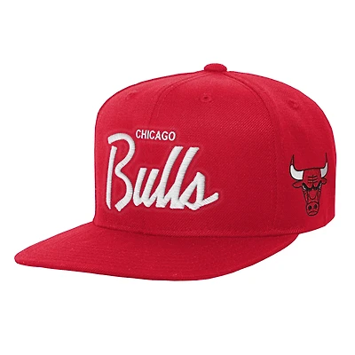 Youth Mitchell & Ness Red Chicago Bulls Head Coach Flat Brim Snapback Hat