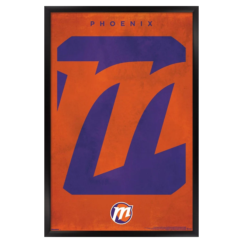 Phoenix Mercury 23" x 34" Framed Team Poster