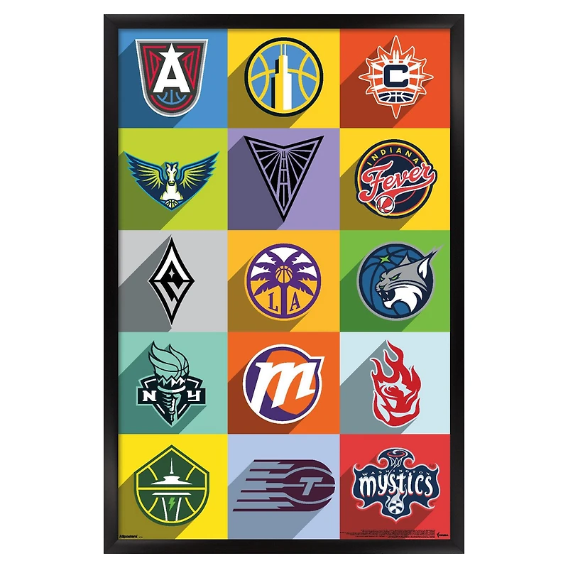 WNBA 23" x 34" Framed Team Poster
