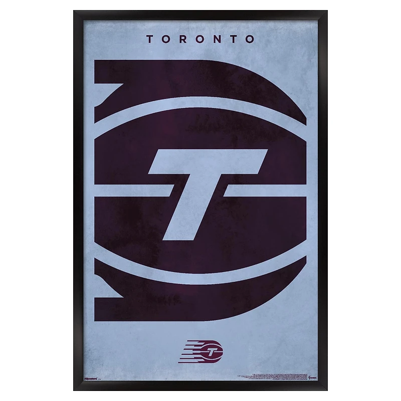 Toronto Tempo 23" x 34" Framed Team Poster