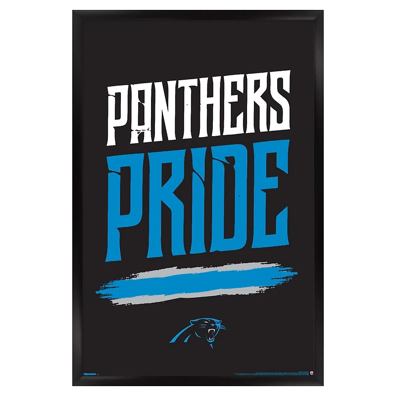 Carolina Panthers 23" x 34" Framed Team Poster