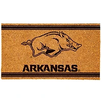 Arkansas Razorbacks 16" x 28" Logo Turf Mat