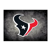 Houston Texans Imperial 3'10" x 5'4" Distressed Rug