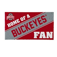 Ohio State Buckeyes 18" x 30" Team Turf Mat
