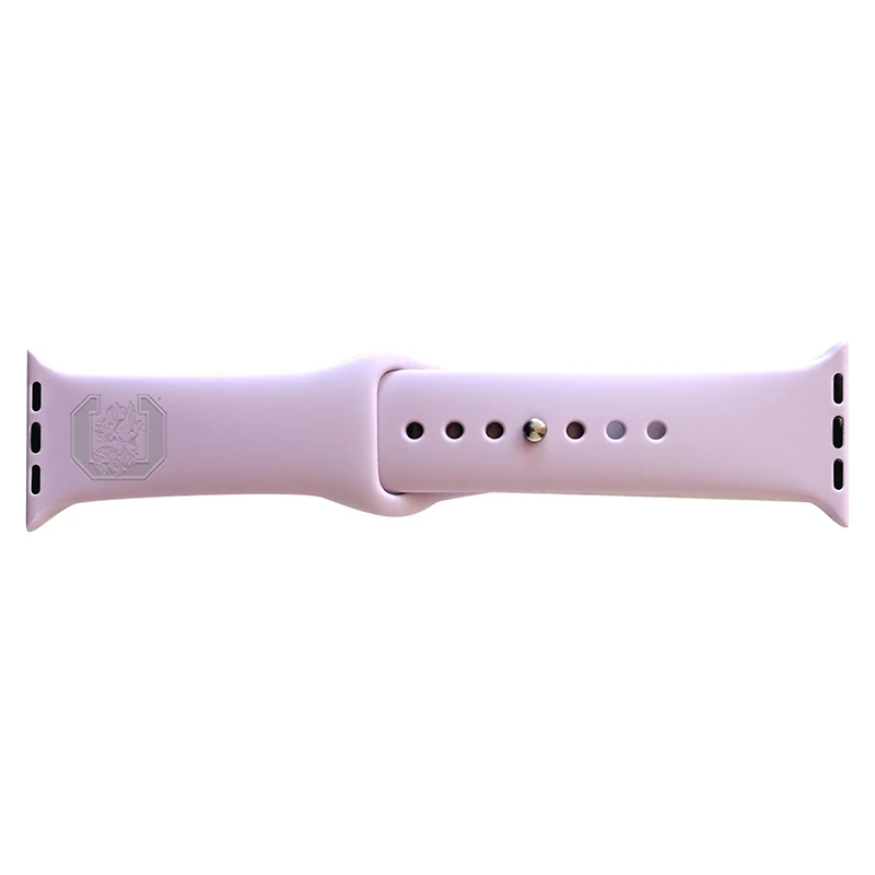 South Carolina Gamecocks 42-44mm Color Apple Watch Wrist Band
