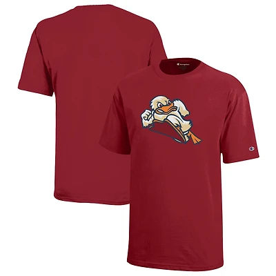 Youth Champion Red Stevens Institute of Technology Ducks Jersey T-Shirt