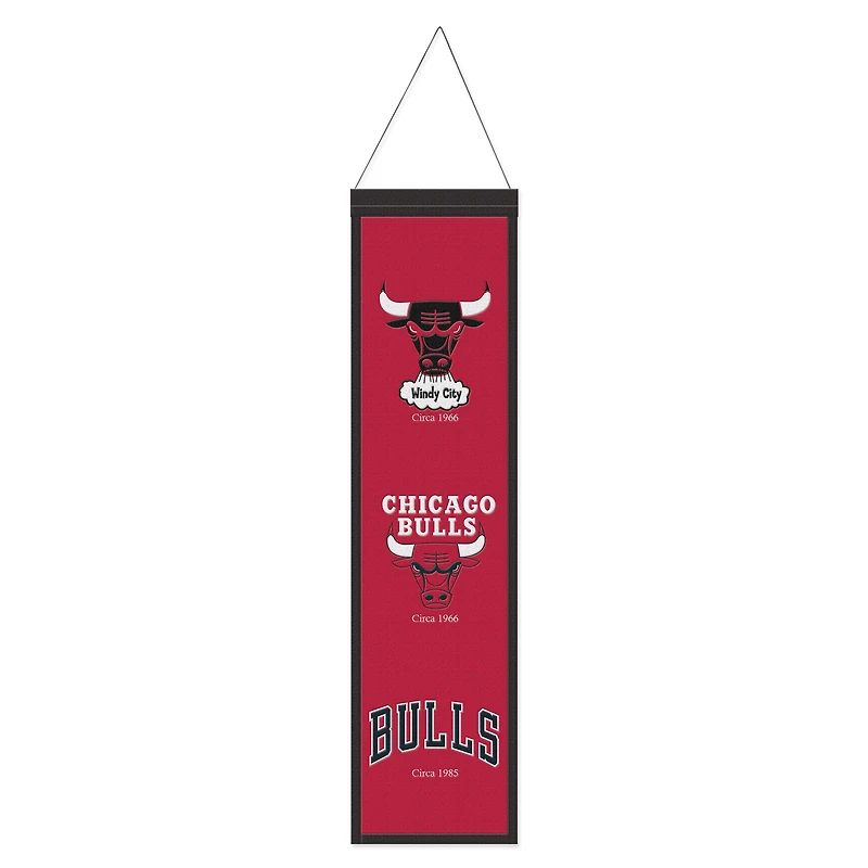 WinCraft Chicago Bulls 8" x 32" Evolution Banner