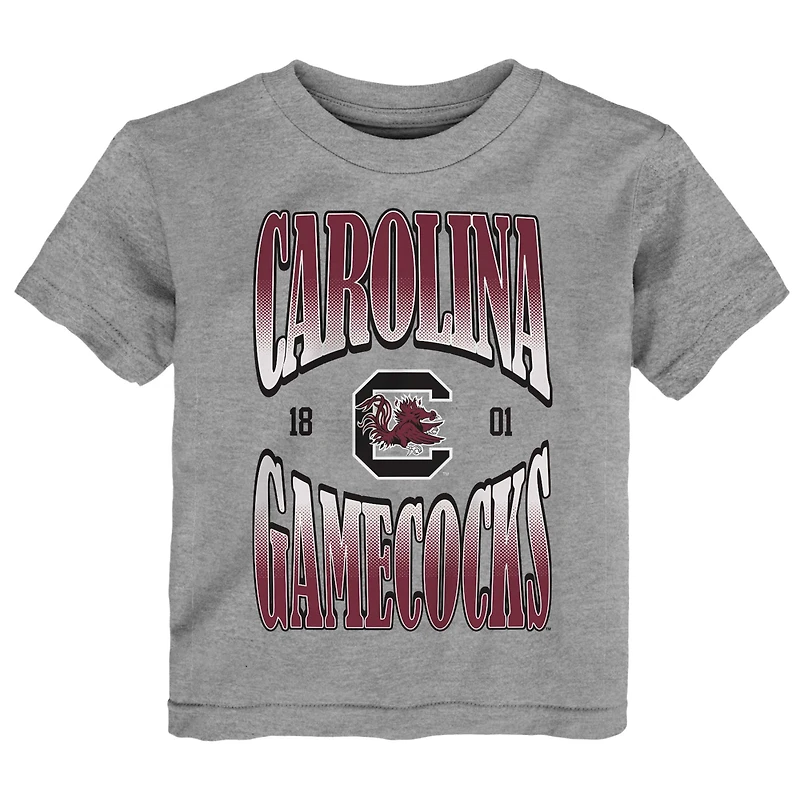 Toddler Heather Gray South Carolina Gamecocks Top Class T-Shirt