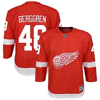 Jonatan Berggren Youth Red Detroit Red Wings Home Custom Premier Jersey