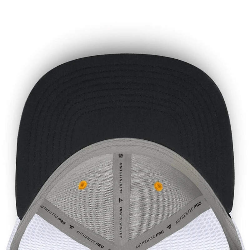 AP Rink Pittsburgh Penguins