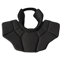 S25 Pro