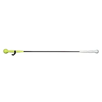 A162308 - Bâton d'entraînement pour le baseball et la balle-molle