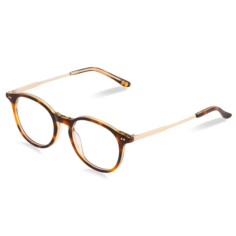 Markova S - Champagne Whiskey Glasses 