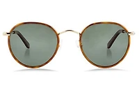 Adler Windsor Sunglasses - Havana 