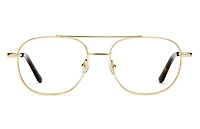 Colton - Gold Glasses 