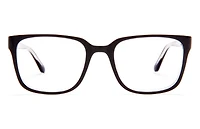 Bruno - Matte Black Glasses 