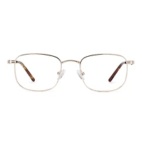 Jude - Gold Glasses 