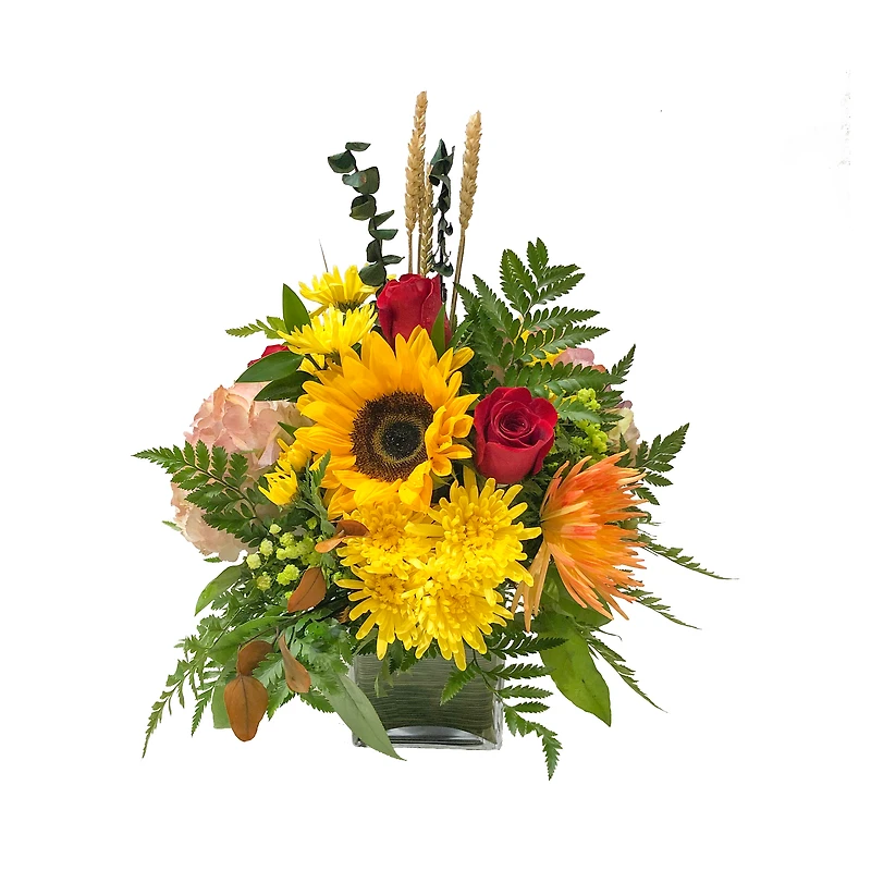 Thanksgiving Sunshine