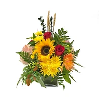 Thanksgiving Sunshine