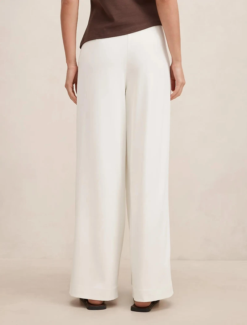 Annabelle Pleated Palazzo Pants