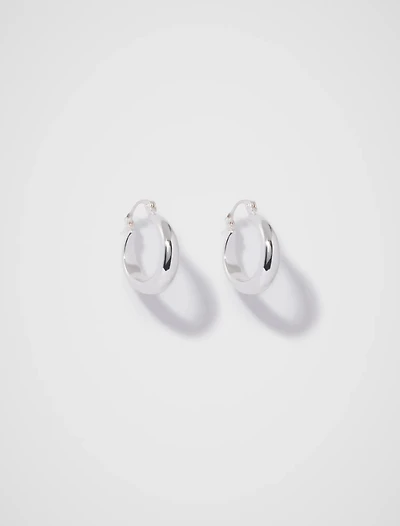 Dionne Hinge Hoop Earrings