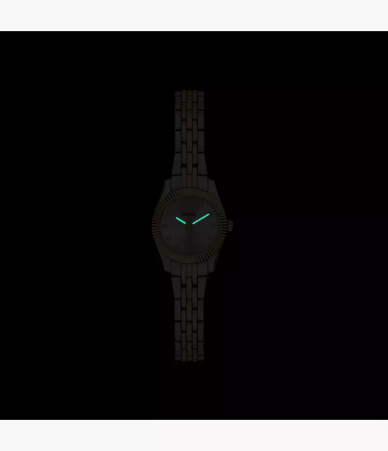 Scarlette Mini Three-Hand Two-Tone Stainless Steel Watch