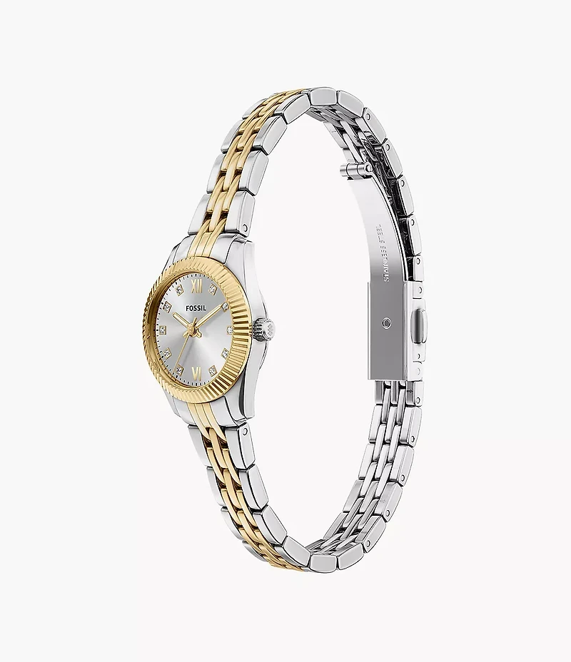 Scarlette Mini Three-Hand Two-Tone Stainless Steel Watch