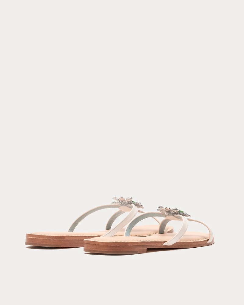 Crab Sandal