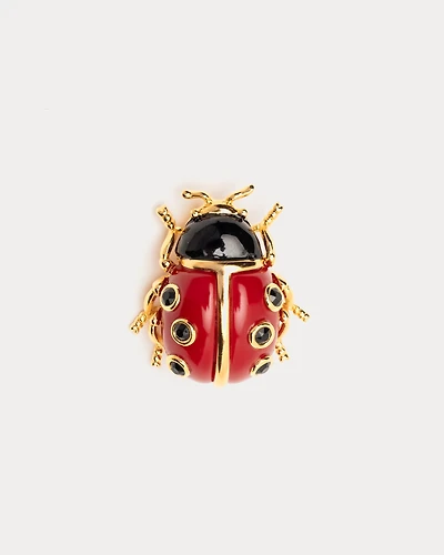 Ladybug Brooch