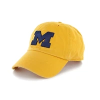 Michigan Wolverines Gold Clean Up