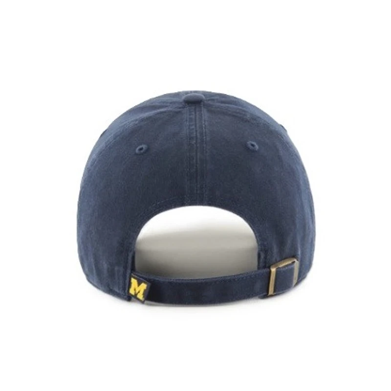 Michigan Wolverines Team Colour Clean Up
