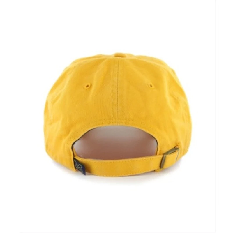 Michigan Wolverines Gold Clean Up