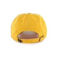 Michigan Wolverines Gold Clean Up
