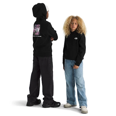 Teen Evolution Print Box NSE Pullover Hoodie