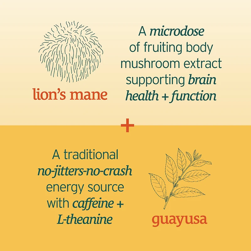 Brain Boost Energy Seltzer