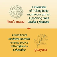 Brain Boost Energy Seltzer