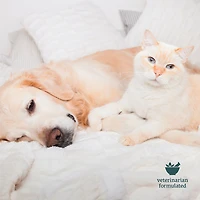 Broad Spectrum Chillin’ Out CBD Pet Chews