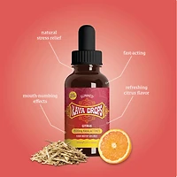 Kava Water Soluble - Citrus