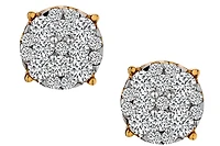 .75 Carat of Lab Grown Diamond Cluster Stud Earrings, 10kt Yellow Gold.....................NOW