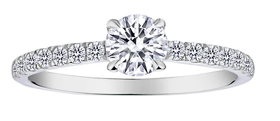 .75 Carat of Lab Grown Diamonds, 10kt White Gold.....................NOW