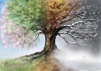 Four Seasons