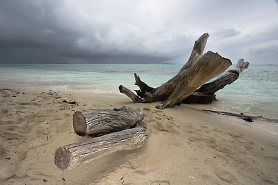 Beach Landscape Storm Sky