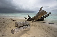 Beach Landscape Storm Sky