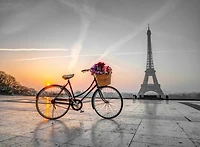 Assaf Frank - Bicycle with a basket of flowers next to the Eiffel tower, Paris, France