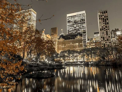 Assaf Frank - Evening view of Central Park New York City