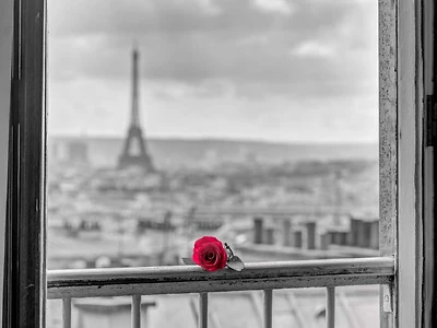 Assaf Frank - Rose on balcony railing with Eiffel Tower background, Paris, France